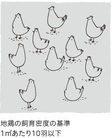 地鶏の飼育密度の基準1㎡あたり10羽以下